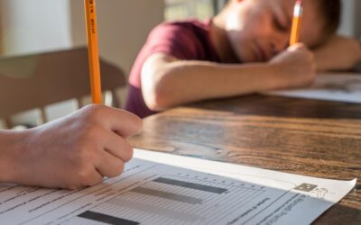 How To Avoid Homeschooling Burnout  